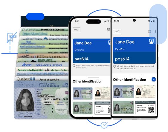iPhone et téléphone Android devant trois cartes d'identité de permis de conduire et un passeport canadien.