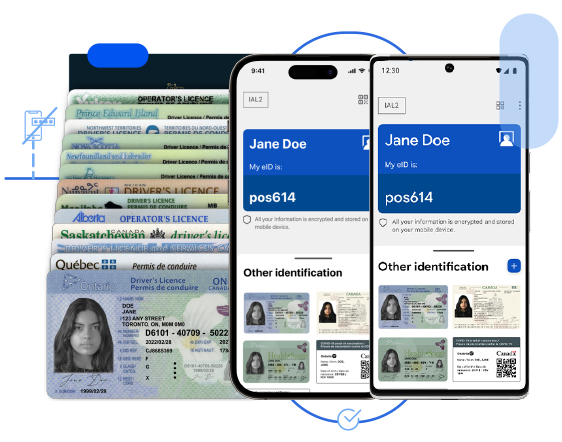 iPhone and Android phone in front of three driver's licence ID cards and a Canadian Passport.